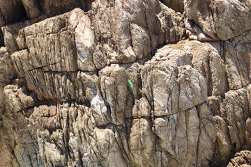 wall