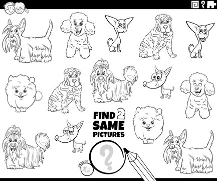 find two same purebred dogs game coloring book page