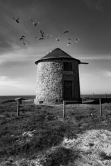 Beautiful black and white picture of pigeons flying ovet windmill located at Apúlia in Portugal