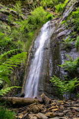 Obraz premium Water flows through a mountain waterfall