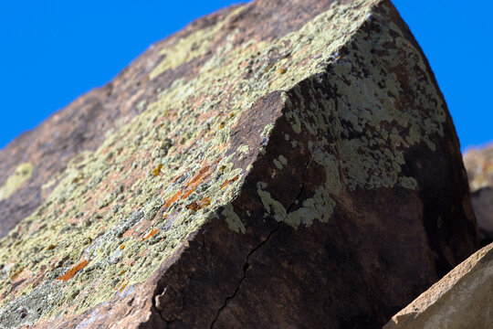 Intriguing colors, patterns, and textures on moss rock in southern Utah