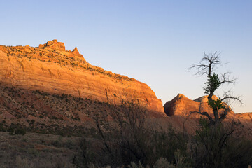 Evening light on Utah State Road 95 through Bears Ears National Monument