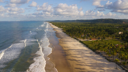Aerial drone view of beach with coconut trees on the coast of Ilheus Bahia Brazil