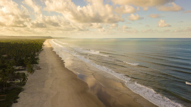 Aerial drone view of beach with coconut trees on the coast of Ilheus Bahia Brazil