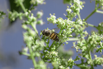 Esta llegando el sol.