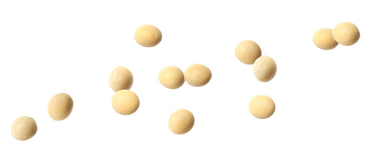 Many soy beans falling on white background, banner design. Vegan diet