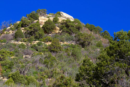 Rocky peak defines the landscape on the plateau of Mesa Verde National Park
