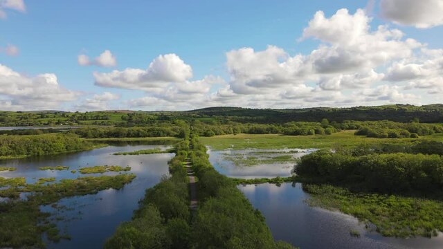 A footpath hidden among the green tree canopy on river Lee