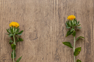 木目の上に置かれた二本のベニバナ　背景　中央余白