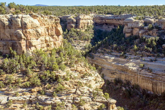 Navajo Canyon at Mesa Verde National Park contains many historic alcove dwellings