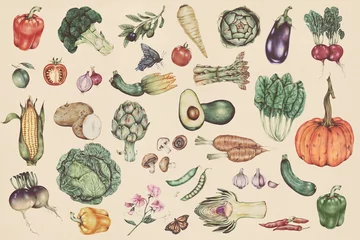 Foto op Plexiglas Hand drawn vegetable pattern illustration © Rawpixel.com