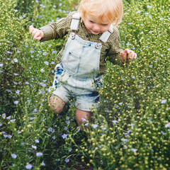 Little boy in a flower field