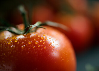 Fresh tomatoes