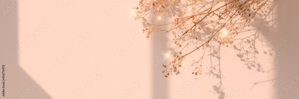 Canvas Prints sparkle dried flower background image
