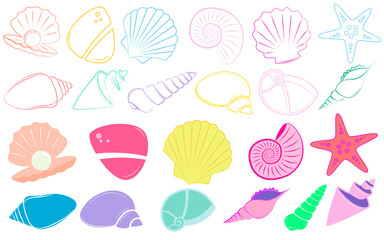 sea shells vector