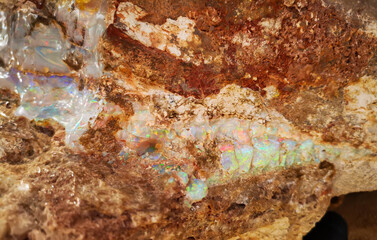 A rare find in nature. Magnificent opal found in just a few places in Australia is brightly coloured and very valuable. Quality opal appears naturally in mines and is readily turned into jewellery.