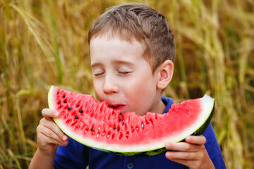 A boy eats a red watermelon in the summer in a wheat field. I closed my eyes with pleasure. Summer picnic in nature. Happy childhood.