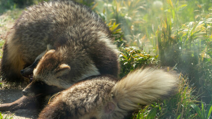 飯田市立動物園 長野県