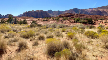 Fototapeta na wymiar Utah Red Lava Rock Formations in the Desert