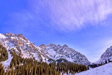 Majestic rocky peaks with fir forest against a blue sky with clouds in the winter season