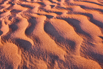 Harmonious lines of sand in the desert at sunset; bizarre wind patterns in the soft light of the rising sun
