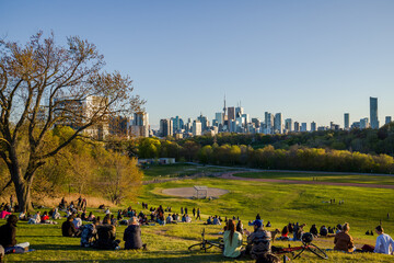 Downtown Toronto Canada panoramic cityscape skyline view over Riverdale Park in Ontario. people sit on grass. Picnic outside. sunset time