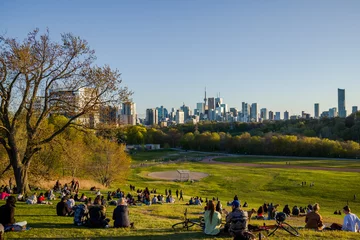 Foto auf Alu-Dibond Downtown Toronto Canada panoramic cityscape skyline view over Riverdale Park in Ontario. people sit on grass. Picnic outside. sunset time © joi