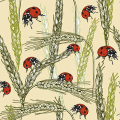 Hand-drawn ladybugs and cereal ears on the light yellow background. Vector insect seamless pattern. Summer ditzy floral pattern. Ink drawing.