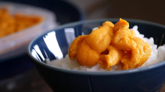 新鮮な雲丹のクローズアップ。うに丼を食べる動画。