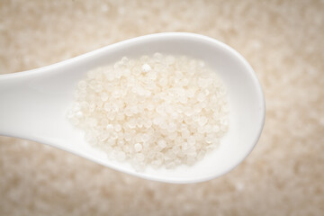 Macro Close up of organic white sago or sabudana small size on a white ceramic soup spoon in a blurred background. Top view