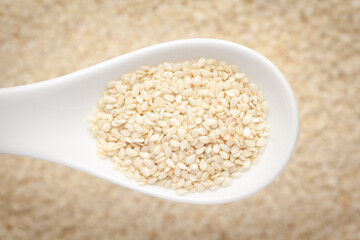 Macro Close-up of Organic White  Sesame seeds(Sesamum indicum) polished or white Til without the shell on a white ceramic soup spoon in a blurred background. Top view