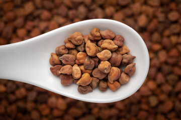 macro Close-up of Organic chana or chickpea (Cicer arietinum) or whole white Bengal gram dal on a white ceramic soup spoon in a blurred background. Top view