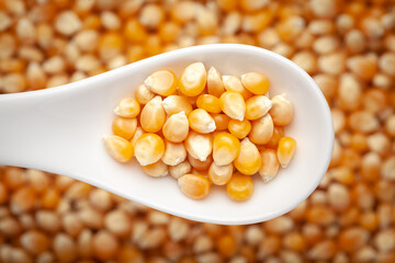 Macro Close up organic yellow corn seed or maize (Zea mays) on a white ceramic soup spoon in a blurred background. Top view