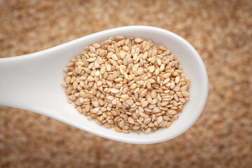 Macro Close up of Organic White Sesame seeds(Sesamum indicum) or white Til with shell on a white ceramic soup spoon in a blurred background. Top view