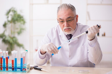 Old male chemist working in the lab