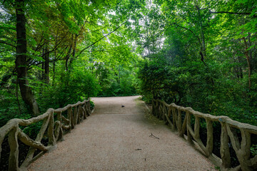 paisaje de primavera con el campo y flores en la Esapña central en primavera