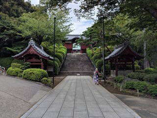 Fototapeta premium japanese garden in spring