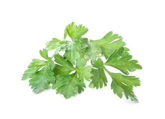 Fresh parsley on white background