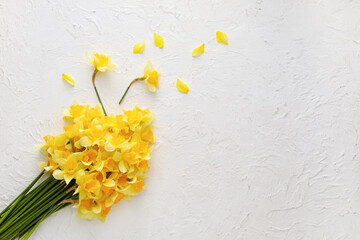 Beautiful daffodils on light background - obrazy, fototapety, plakaty