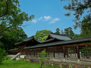 Fototapeta premium 初夏の神社