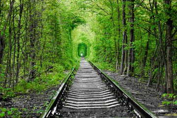 a railway in the spring forest tunnel of love