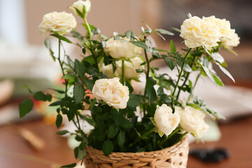 Naklejka na ściany i meble Beautiful white roses in pot, closeup