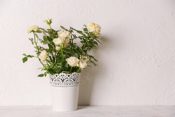 Beautiful white roses in pot on light background