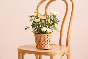 Beautiful roses in pot on chair in room