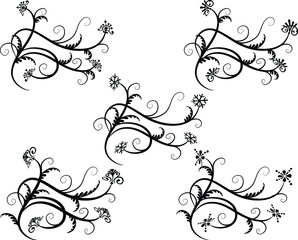 Calligraphic decorative elements with lines