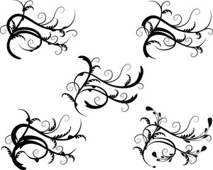 Calligraphic decorative elements with lines