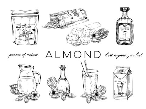 Collection of almond nut products, retro hand drawn vector illustration.