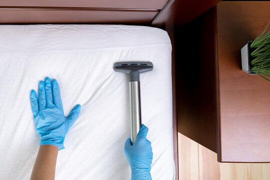 Janitor cleaning mattress with professional equipment in bedroom, closeup
