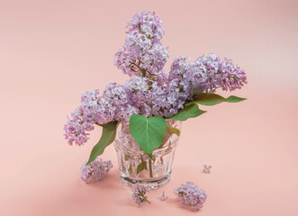 Lilac branches in a transparent glass on a pink background.