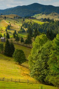 Image of Karpaty mountains on Bucovina in Romania.